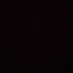 Meet your Posher, Sofia